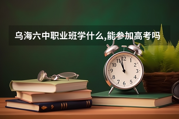 乌海六中职业班学什么,能参加高考吗