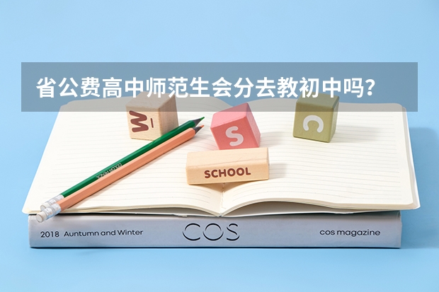 省公费高中师范生会分去教初中吗？
