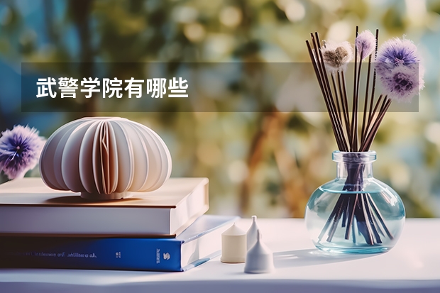 武警学院有哪些