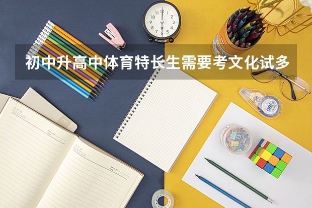 初中升高中体育特长生需要考文化试多少分?