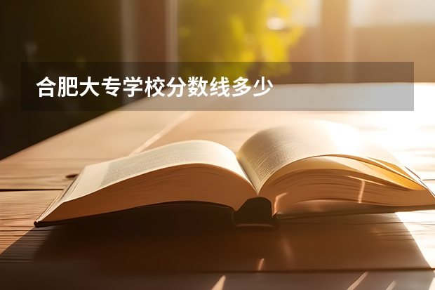 合肥大专学校分数线多少