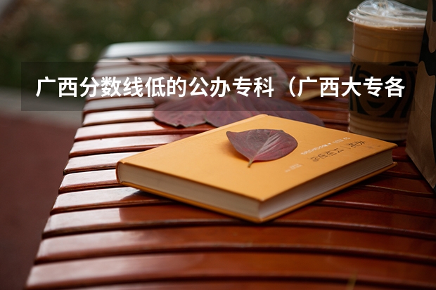 广西分数线低的公办专科（广西大专各院校分数线广西专科院校招生分数线）
