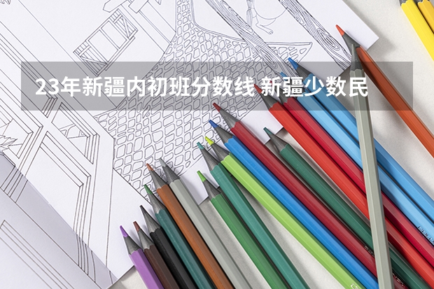 23年新疆内初班分数线 新疆少数民族双语班的美术生 有那些内地大学可以考入