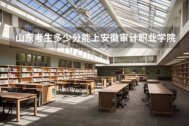 山东考生多少分能上安徽审计职业学院