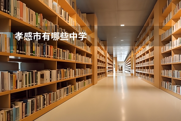 孝感市有哪些中学