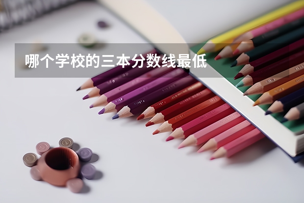 哪个学校的三本分数线最低