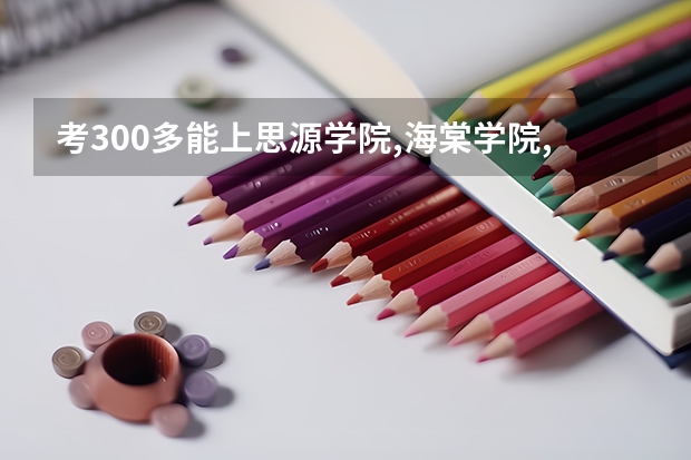 考300多能上思源学院,海棠学院,汽车专修学院,陕西国际商贸学院,服装学院,外事学院,翻译学院,学院吗?