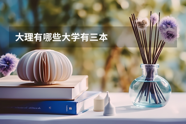 大理有哪些大学有三本