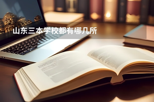 山东三本学校都有哪几所