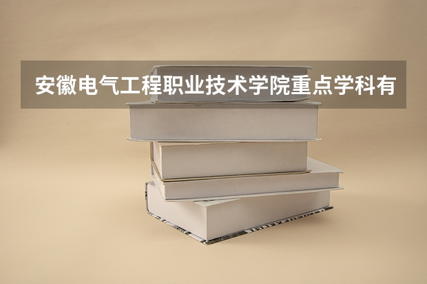 安徽电气工程职业技术学院重点学科有哪些