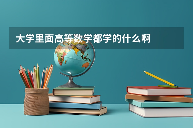 大学里面高等数学都学的什么啊