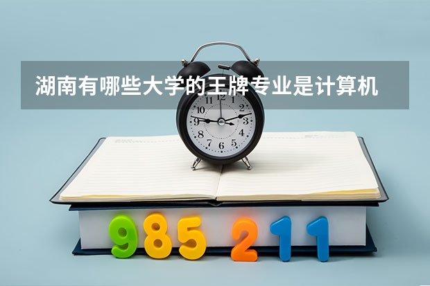 湖南有哪些大学的王牌专业是计算机