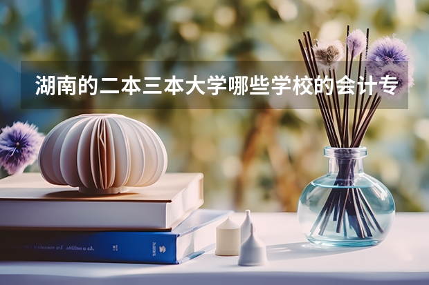 湖南的二本三本大学哪些学校的会计专业好点?