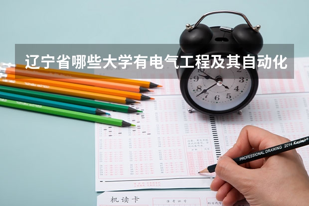 辽宁省哪些大学有电气工程及其自动化专业