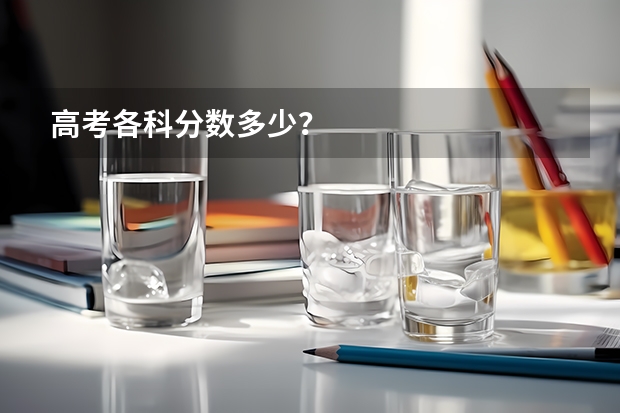 高考各科分数多少？