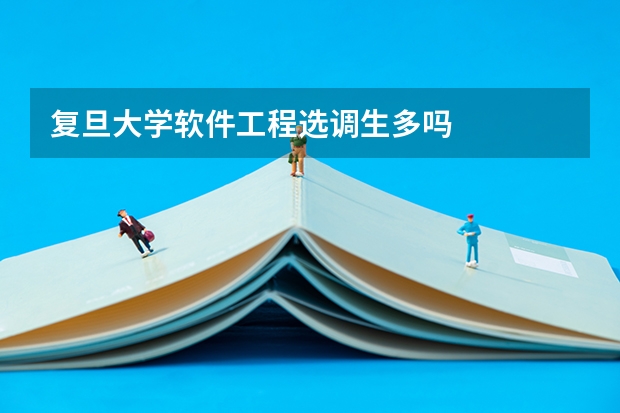 复旦大学软件工程选调生多吗