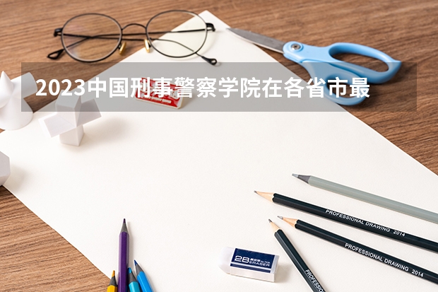 2023中国刑事警察学院在各省市最低录取位次（重庆警察学院分数线）